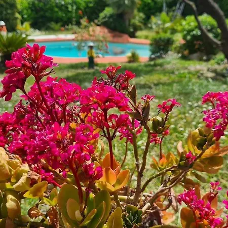 Villa Pour 5 Personnes Avec Jardin Et Piscine Privee *